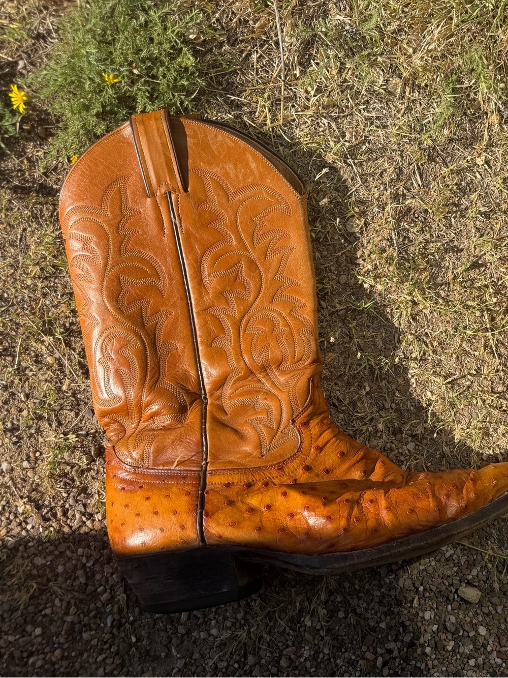 Tony Lama Men’s Boots